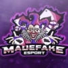 Madefake Esports Dota 2