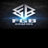 FGB Gaming Dota 2