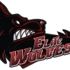 Elite Wolves