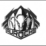 Aurochs Dota 2