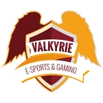 Valkyrie eSports Dota 2