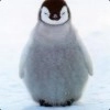 penguin Dota 2