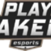 Playmakers Esports Dota 2