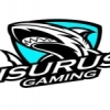 Isurus Gaming