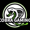 Cobra Gaming