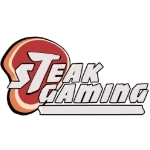 Steak Gaming Dota 2
