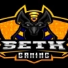 SeTH Gaming Dota 2