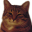 CatYeah.png?1619501053