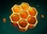 RoyalJelly.png?1592282426