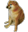 WeakDoge.png?1599450667