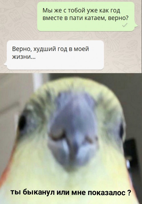 Ответы Mail.ru: что такое ligma? ? мем? и кау его понять